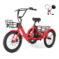 20" x2.6 Fat Tire Electric Tricycle R246