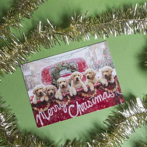 Christmas Cards R769433