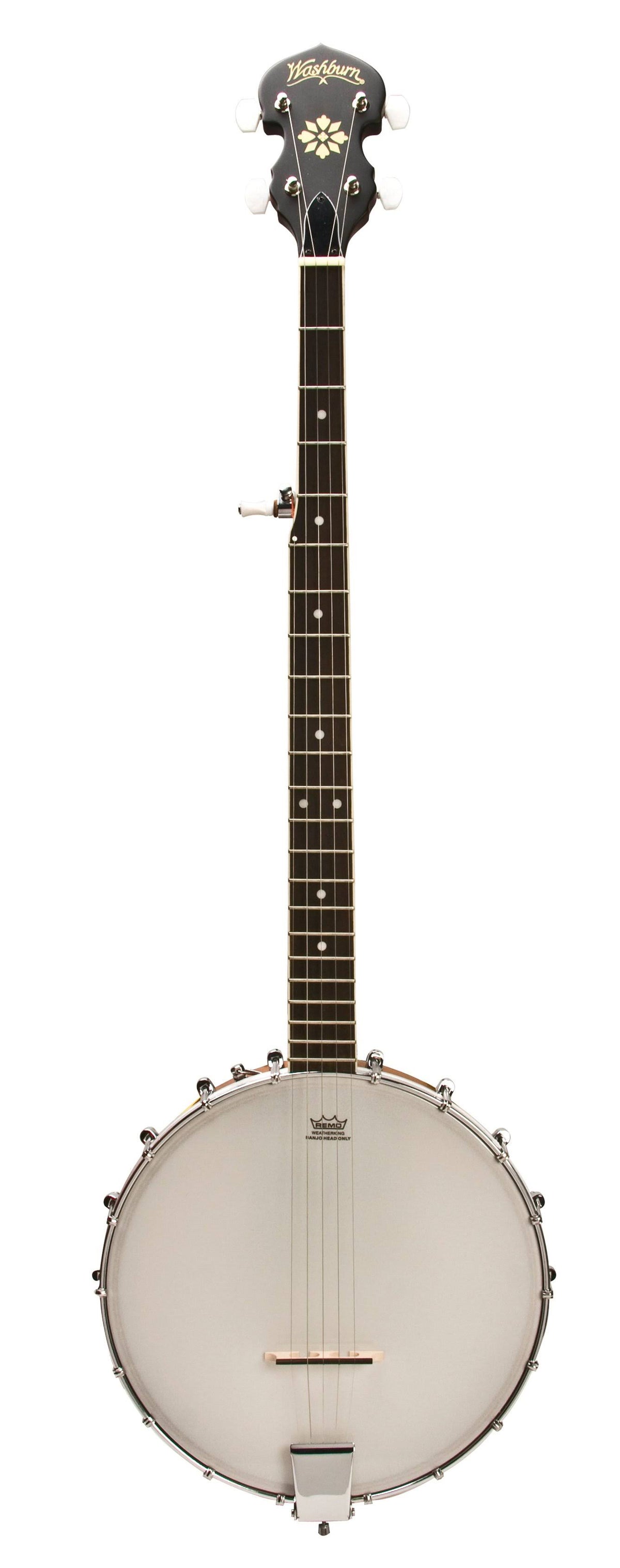 5-String Open Back Banjo P444635