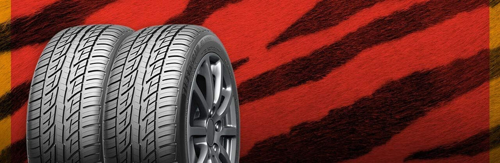 All-Season Radial Car Tire 225/60ZR18 100W D60403