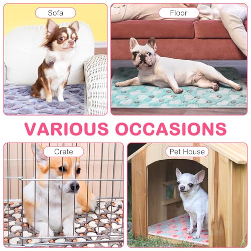 4 Pack Self Warming Cat Bed with Removable Cover, 16 x 20 Inches G68721