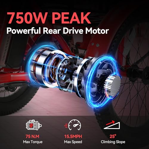 20" x2.6 Fat Tire Electric Tricycle R246