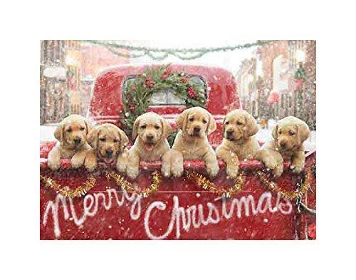 Christmas Cards R769433