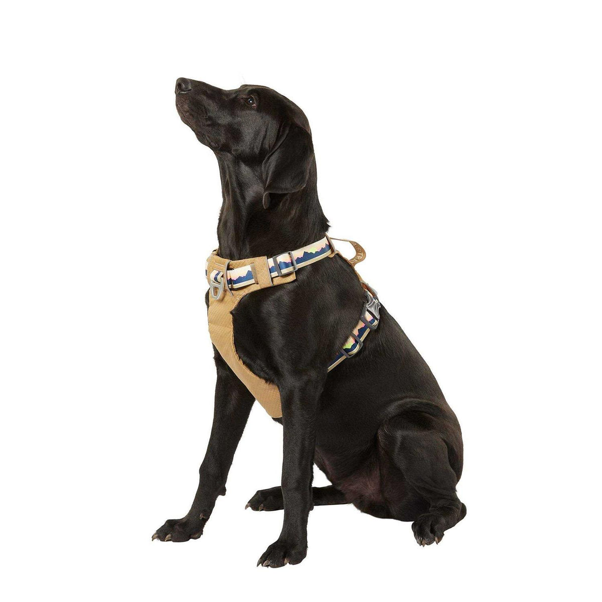 Lightweight Dog Harness D874761