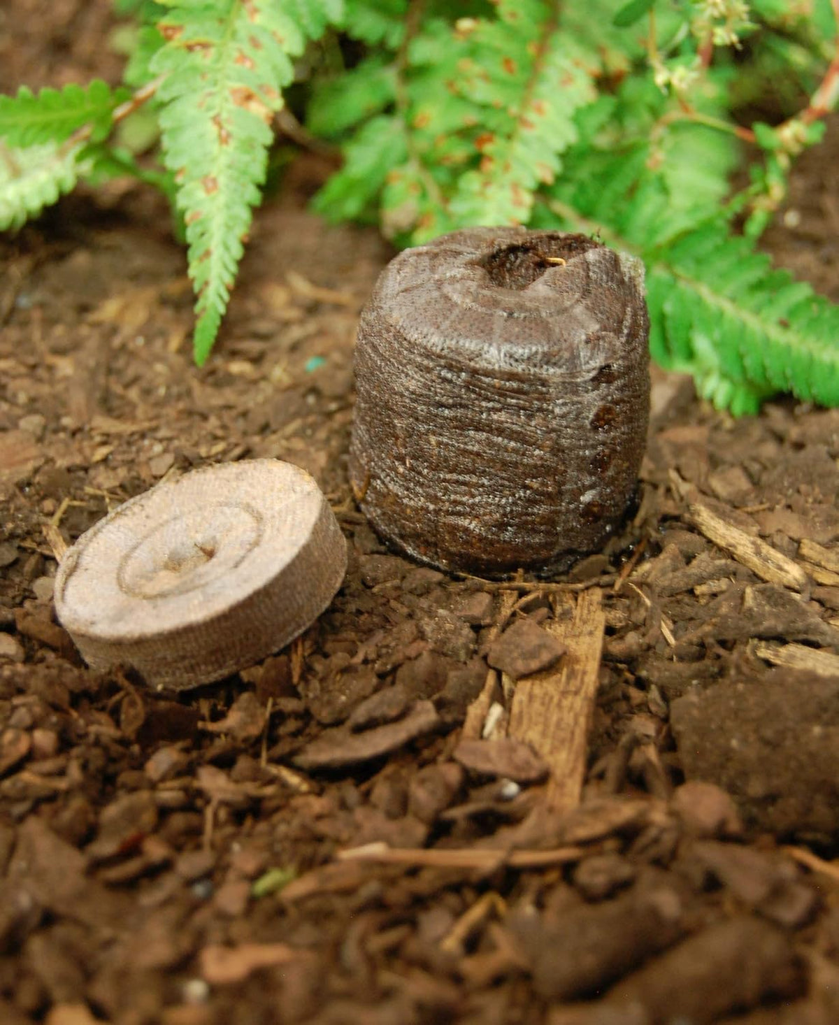 100 ea Peat Pellet P29576