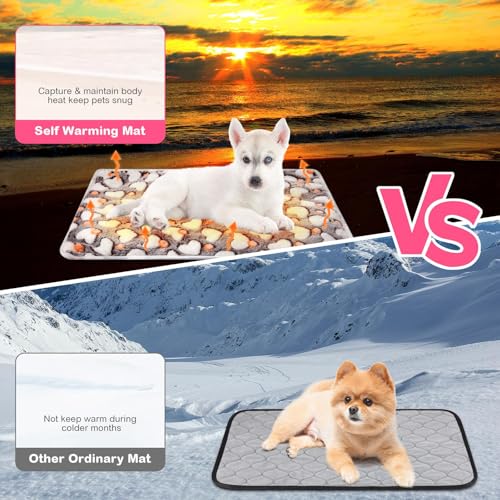 4 Pack Self Warming Cat Bed with Removable Cover, 16 x 20 Inches G68721