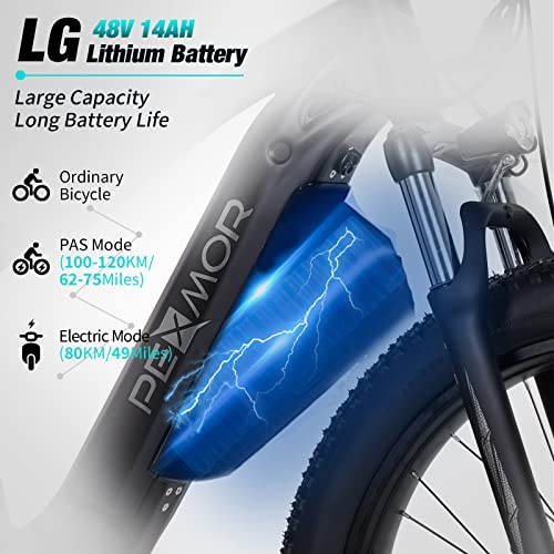 750W 48V 14AH Removable Battery 26" Fat Tire Electric Bike Q141