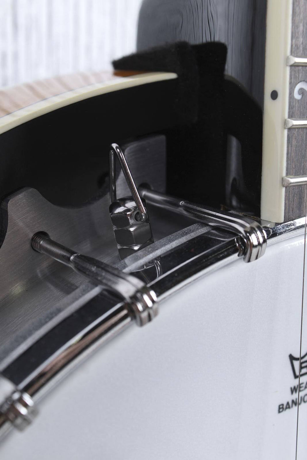 5-String Banjo P55689