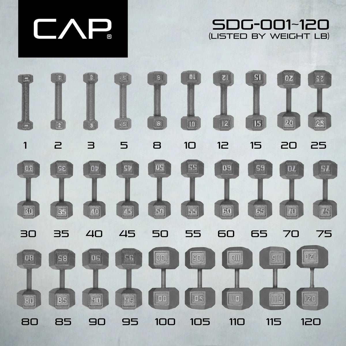 25lb Cast Iron Hex Dumbbell Z39475