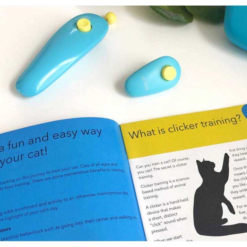 Cat Training Clicker Kit with Target Stick Y2405