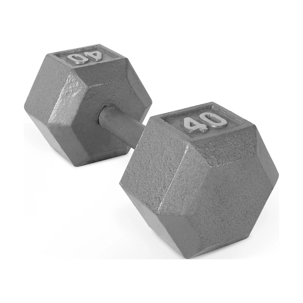 25lb Cast Iron Hex Dumbbell Z39475