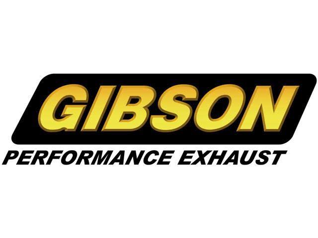 Dual Sport Cat-Back Performance Exhaust System I243