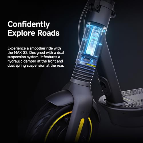 Electric Kick Scooter with Powerful Motor Y791