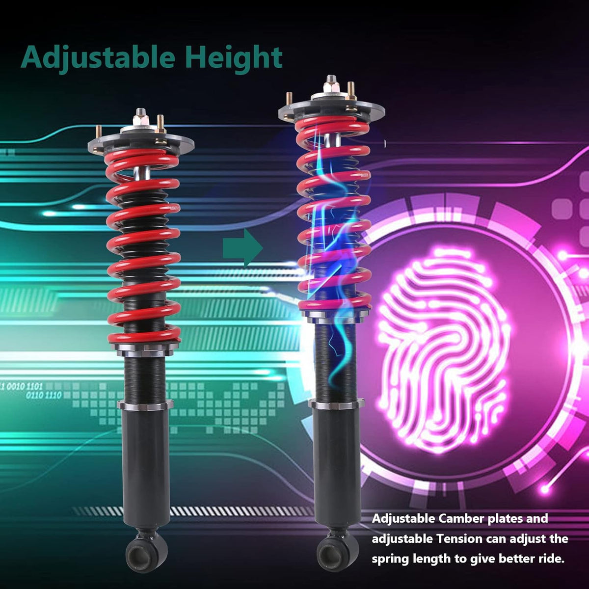 Height Adjustable Coilovers Struts Suspension Kits S48436