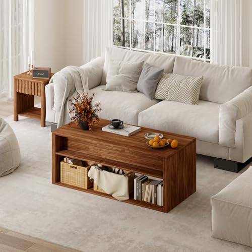 Lift Top Coffee Table with Storage Shelf U749