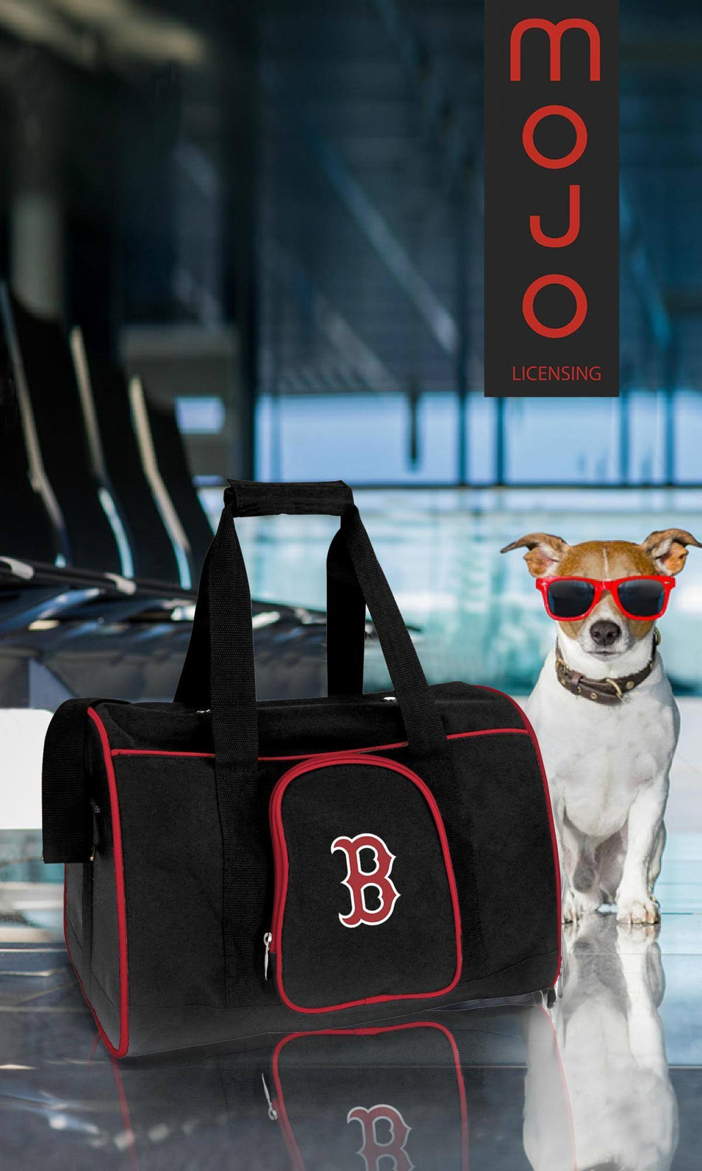 16 in. Premium Pet Carrier P545