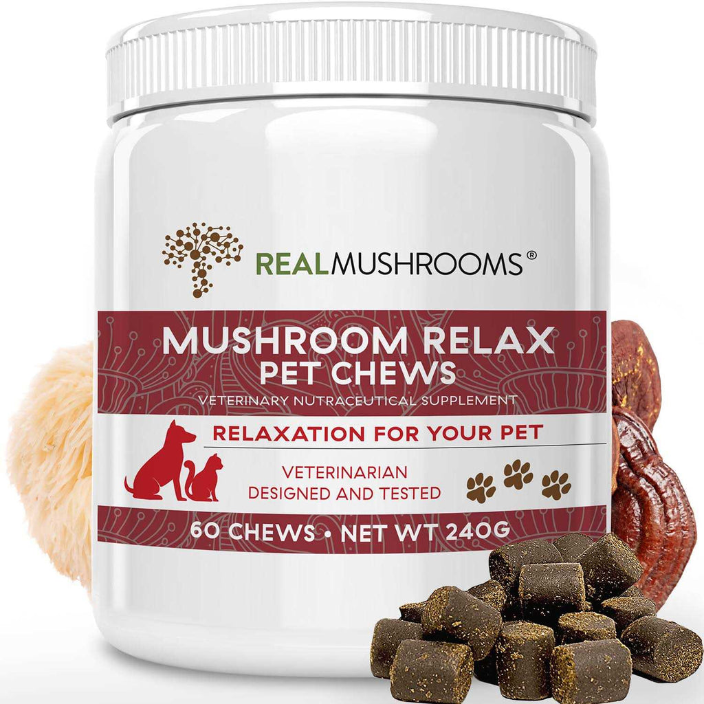 Mushroom Relax Pet Chew I9808