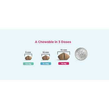 Chewable for Dogs Y339324