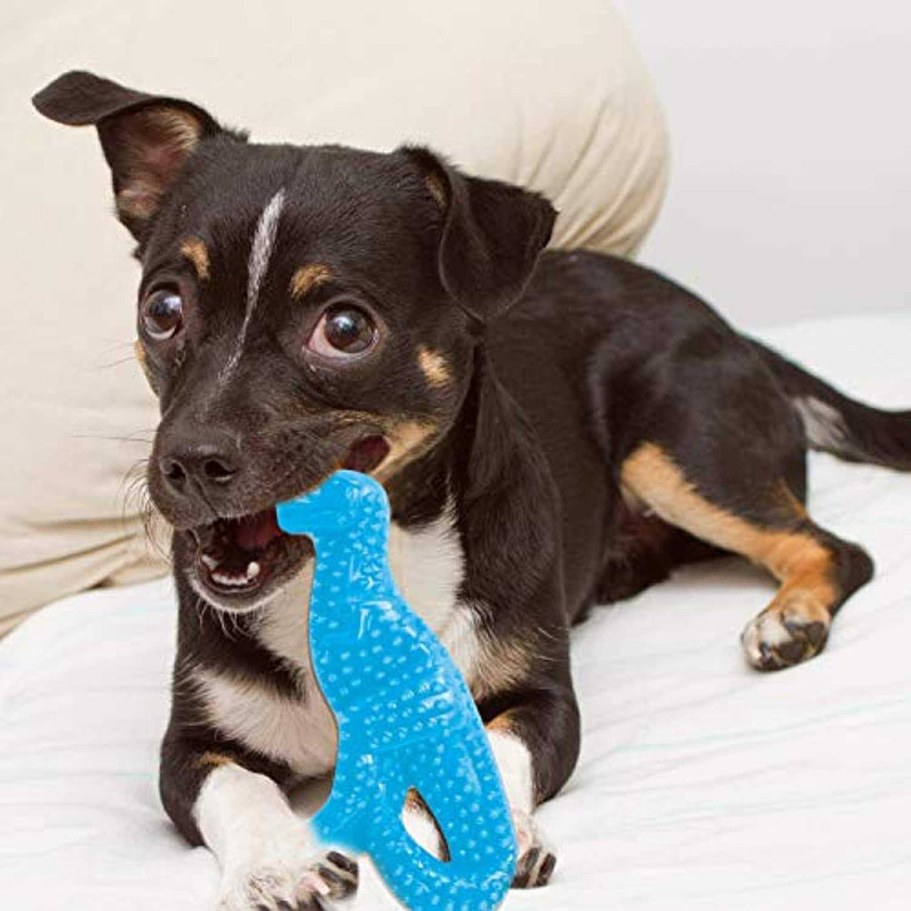 Dental Puppy Chew Toy E5658