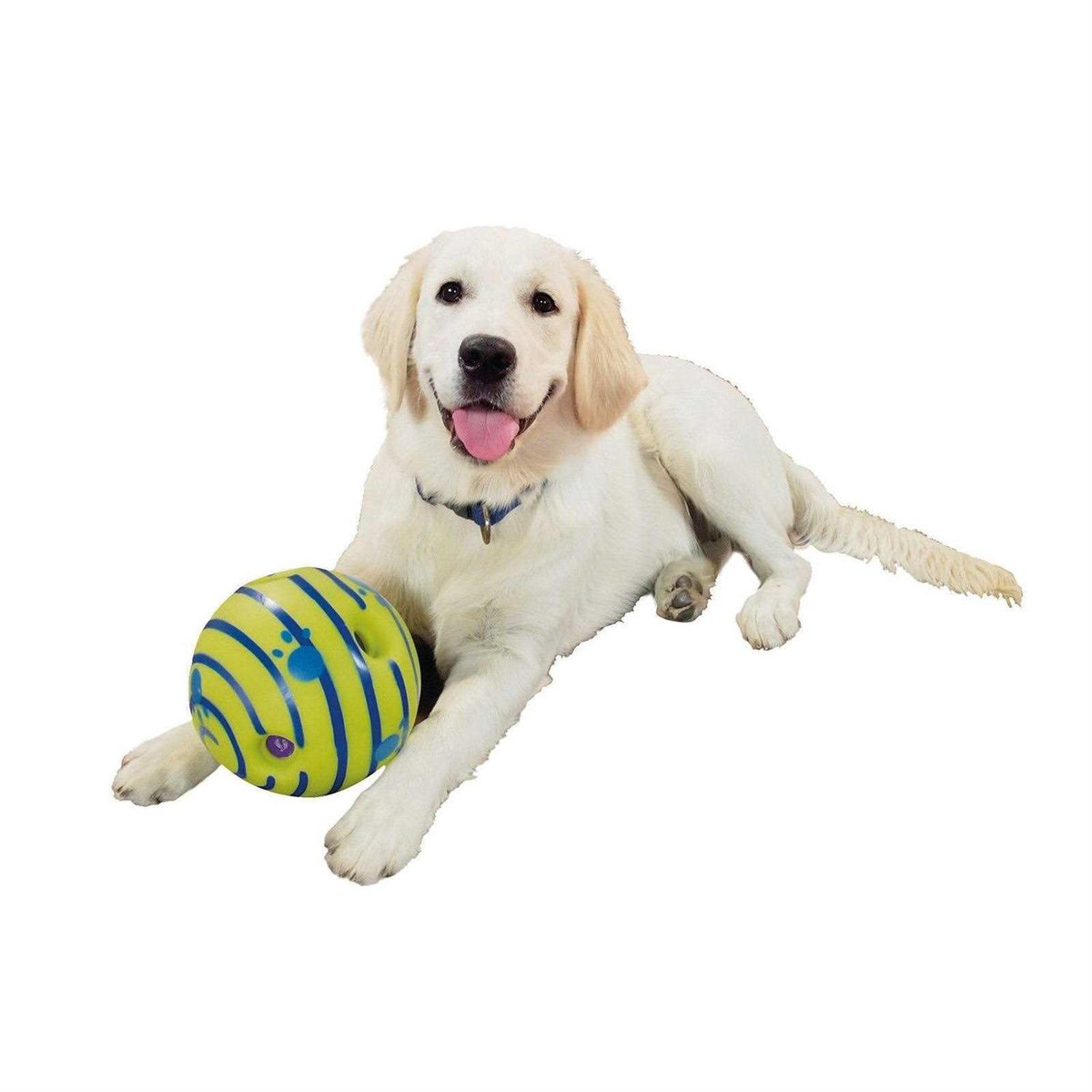 Dog Toy W966905