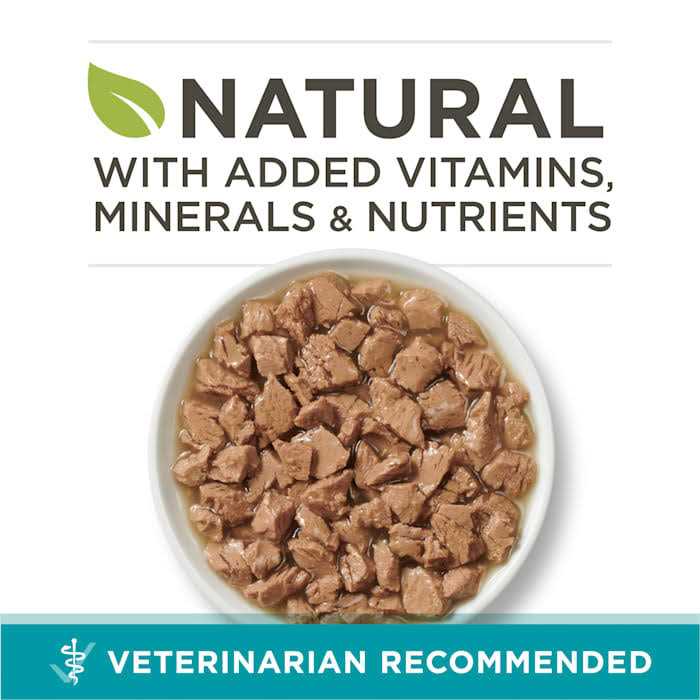 Wet Cat Food O98191