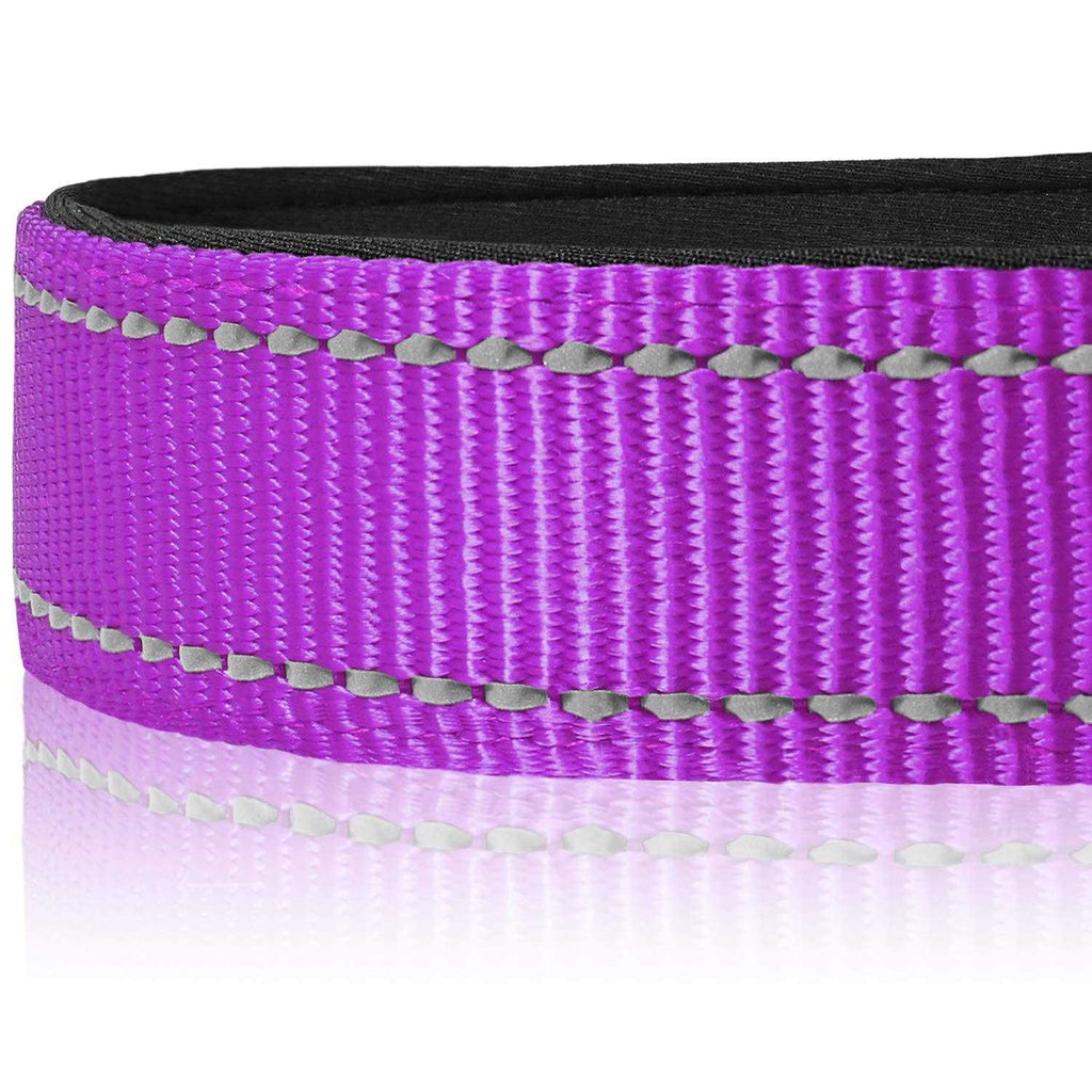 Reflective Neoprene Padded Nylon Dog Collar J208717