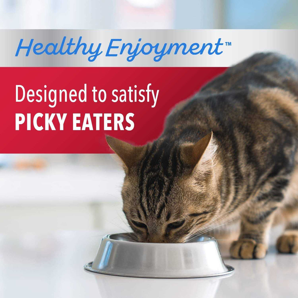 Chicken & Beef Dry Cat Food I80503