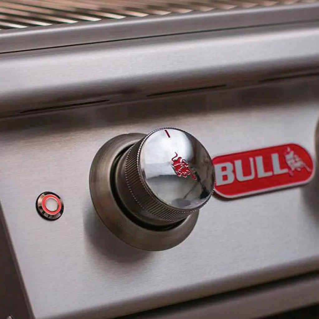 4 Burner Stainless Steel Gas Barbecue Grill W299