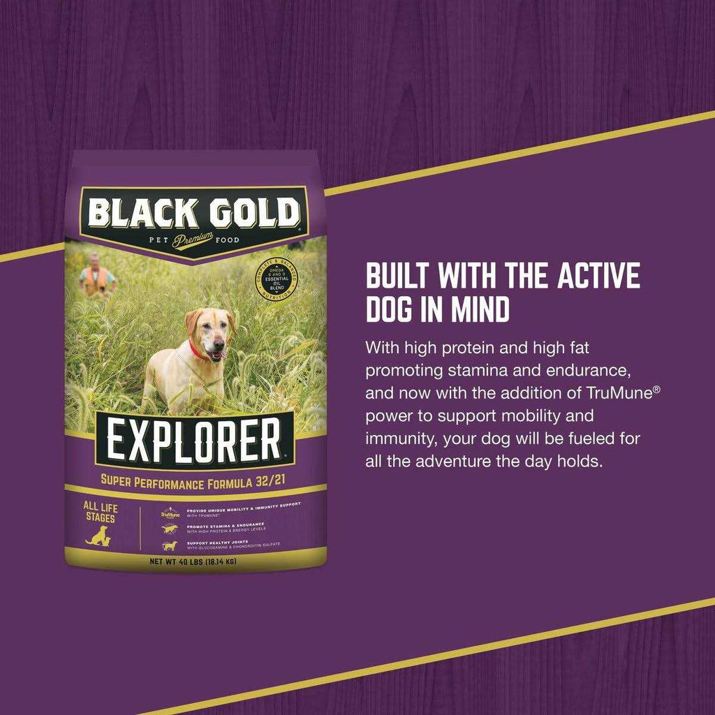 Dry Dog Food J305