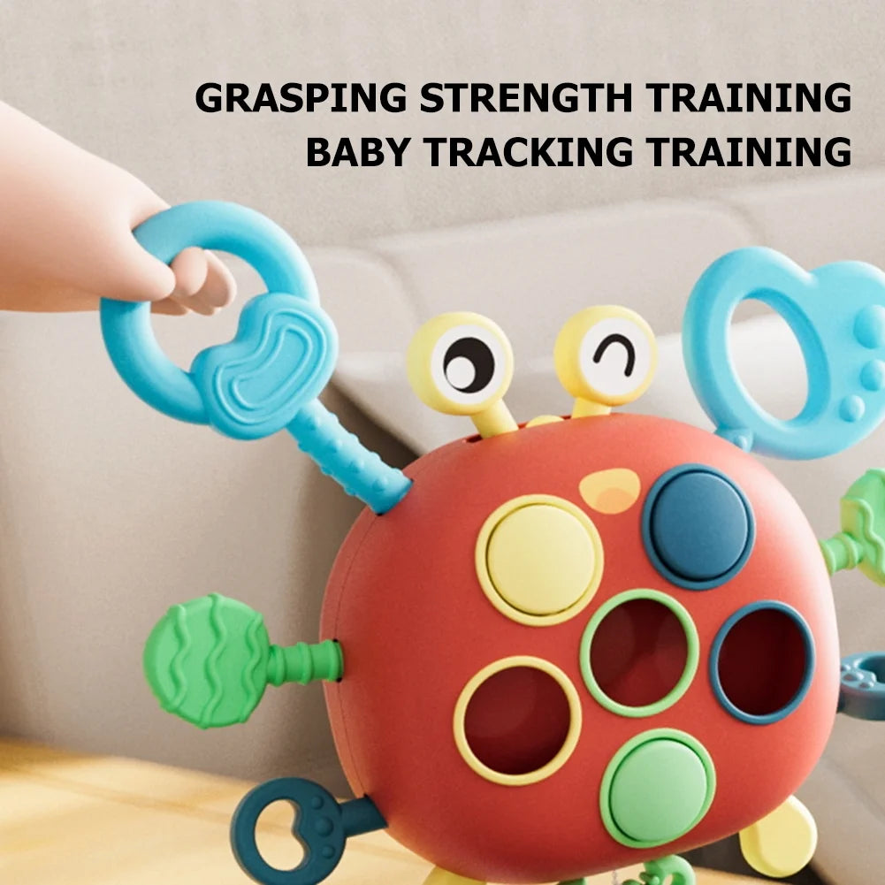 Toddler Montessori Crab Toys Educational Learning A782
