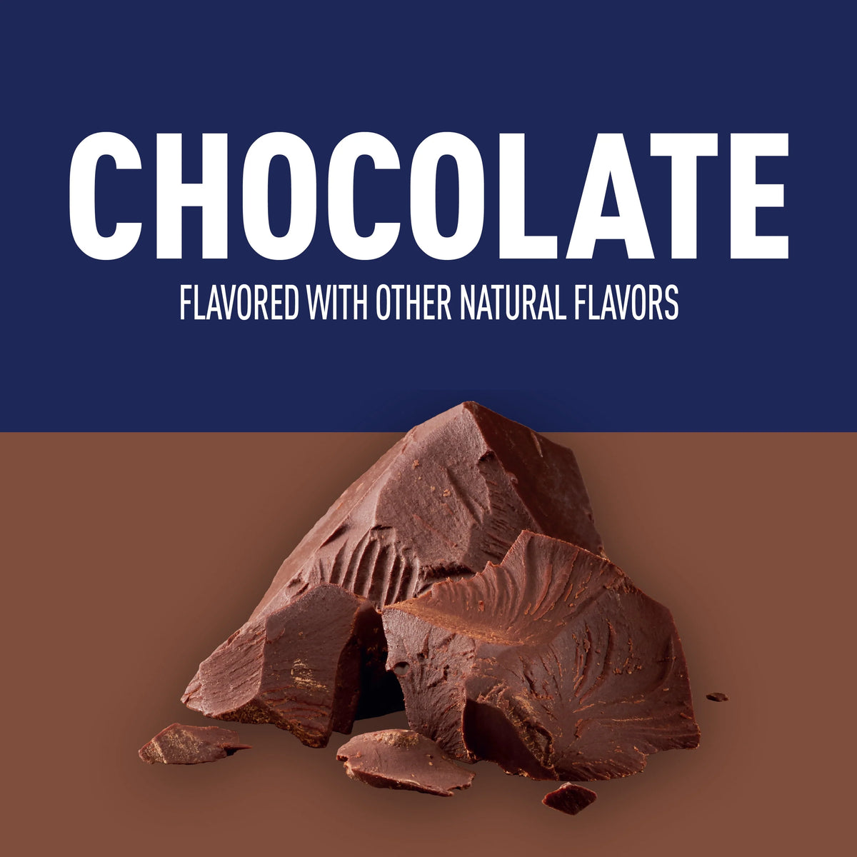 Chocolate Protein Shake 14 fl oz X9939