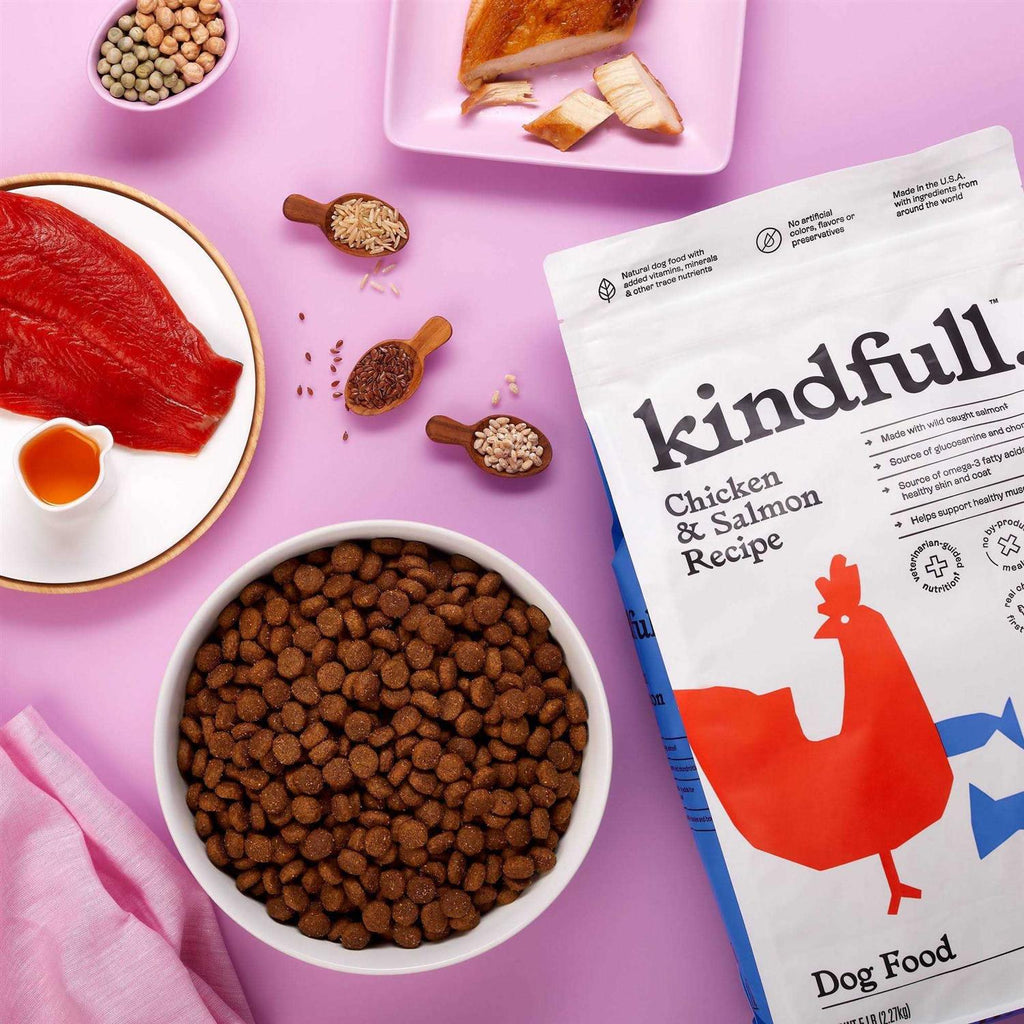 Chicken and Salmon Recipe Dry Dog Food P8979