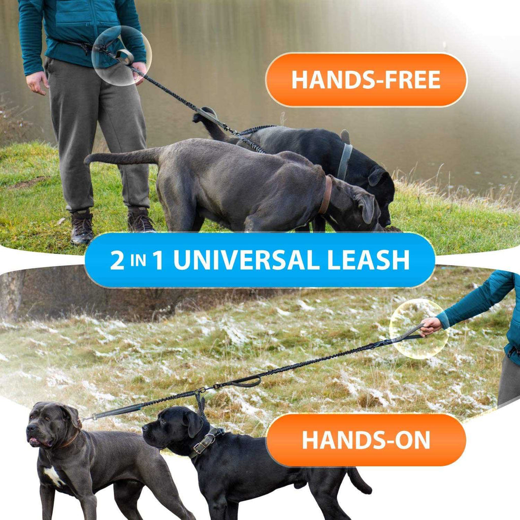 Hands Free Double Dog Leash I7320