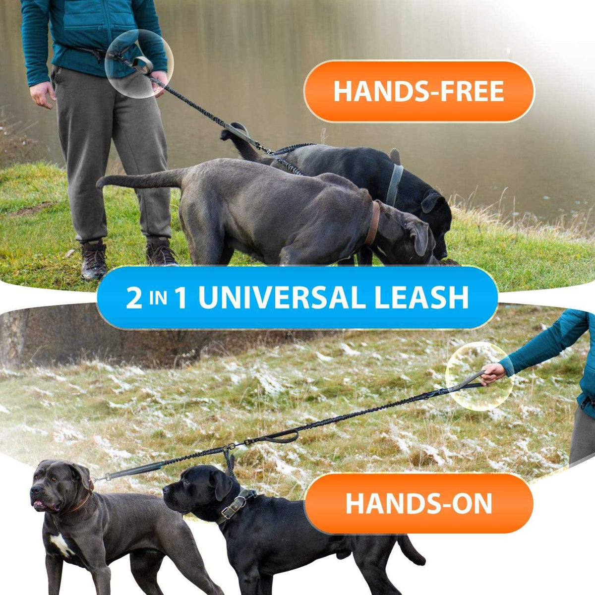 Hands Free Double Dog Leash I7320