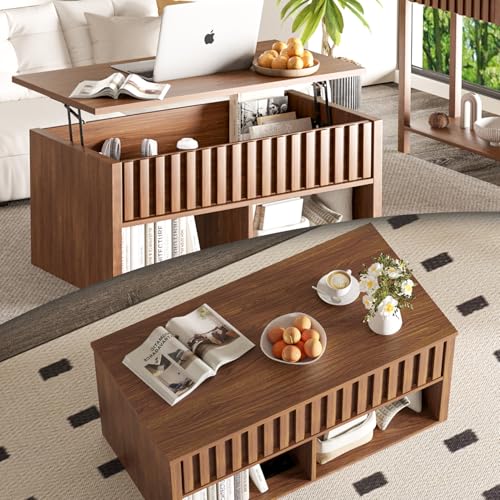 Lift Top Coffee Table with Storage Shelf U749