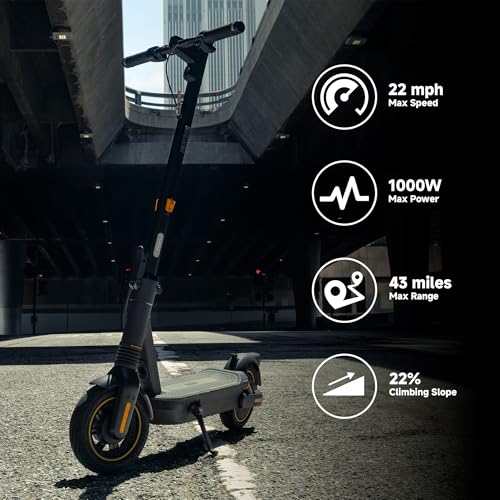 Electric Kick Scooter with Powerful Motor Y791