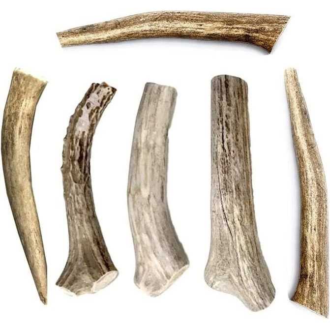 All Natural Whole Deer Antler Dog Chew Treats S2726