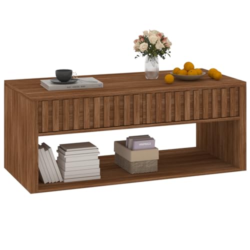 Lift Top Coffee Table with Storage Shelf U749