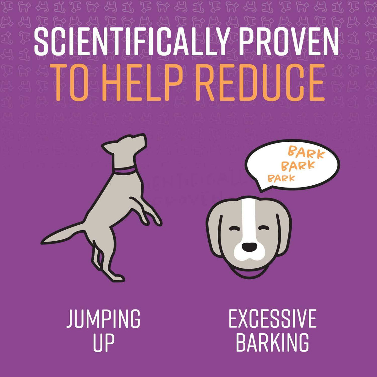 Behavior Correction Spray for Dogs D44640