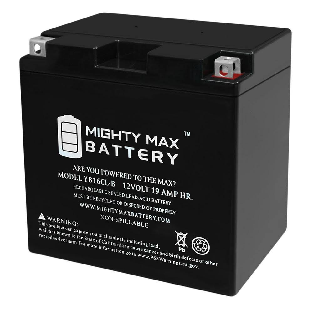 12-Volt 19 Ah 250 CCA Rechargeable Sealed Battery B990