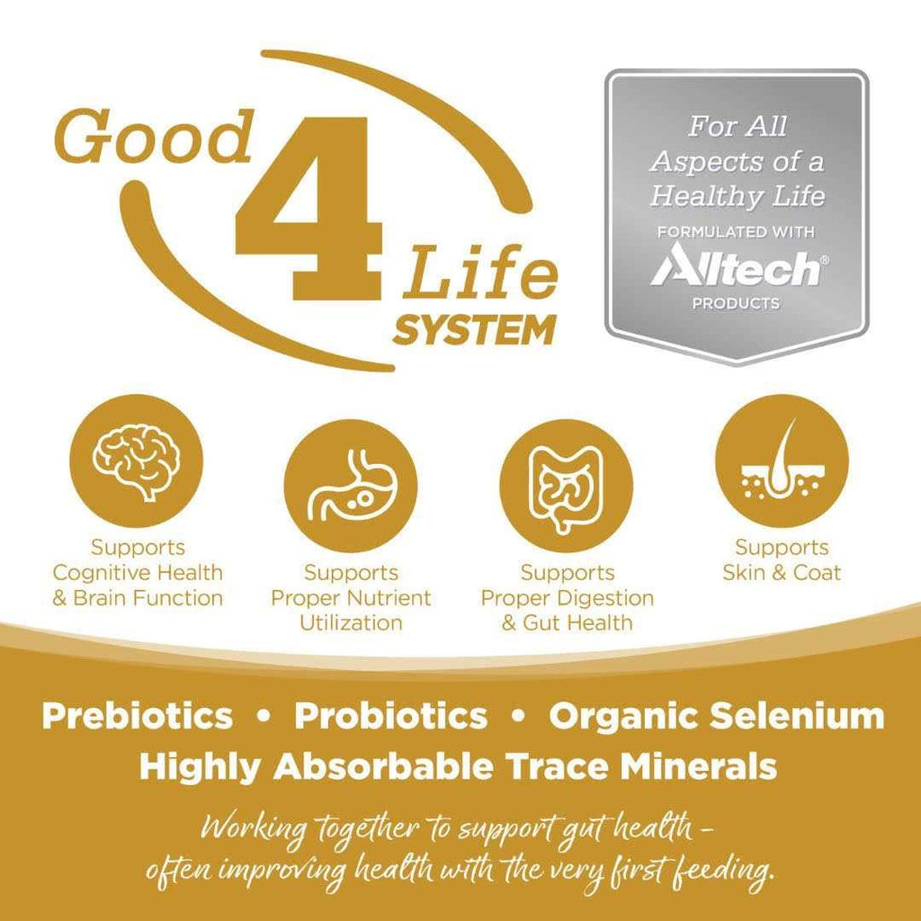 Grain Free Dog Food I322668